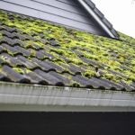 How to Deal with Roof Moss & Lichen without Damage