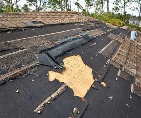 Should I Repair or Replace My Roof? Expert Guide for Homeowners