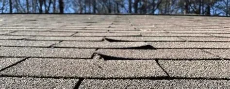 The Average Lifespan of Asphalt Shingle Roofs and How to Extend It
