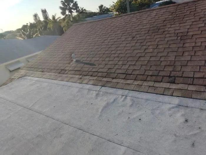 Dollar Roofers Picture 1