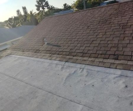 Dollar Roofers