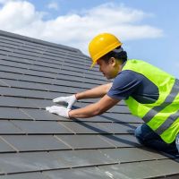 Zenith Roofing ico