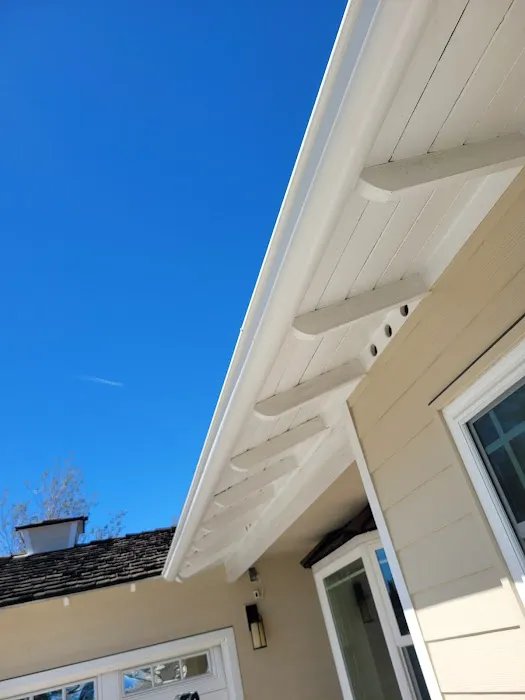 MTZ Roofing & Gutters Picture 4