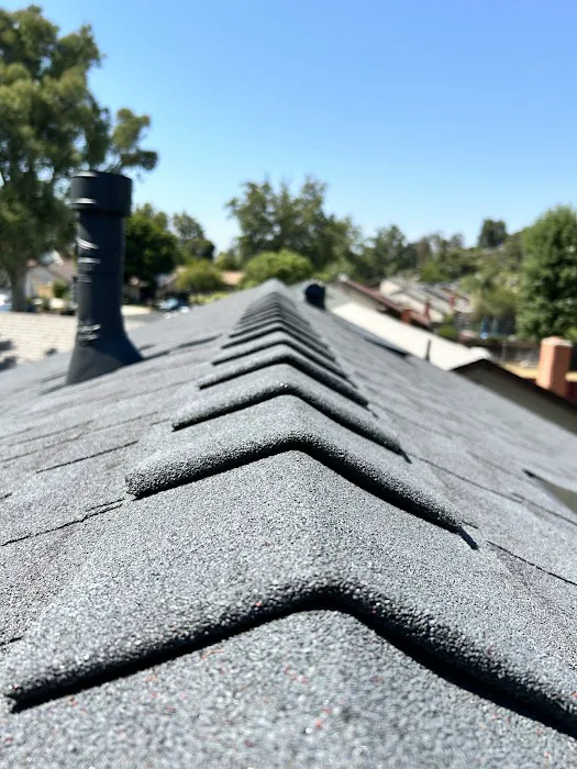 Top Roofing Services Picture 1