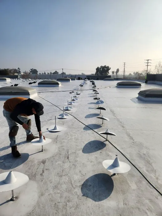 Roof Guard Inc Picture 6