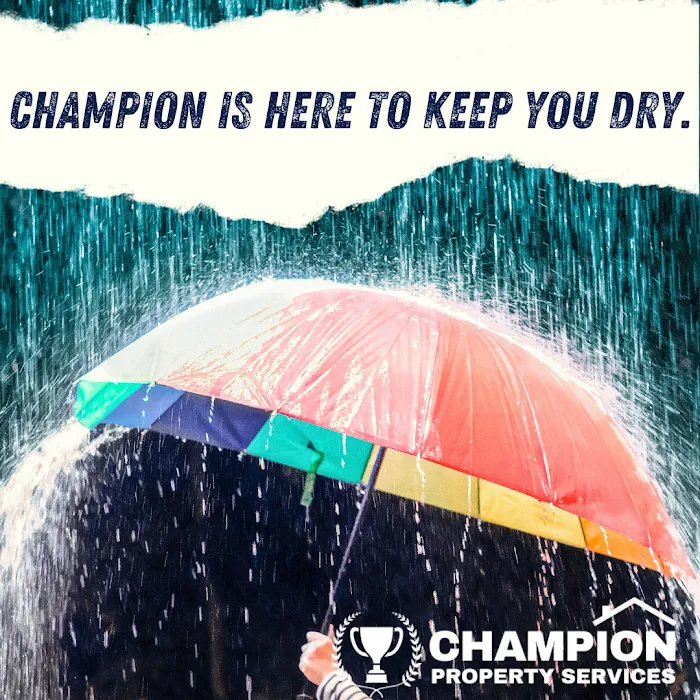 Champion Property Services Picture 5