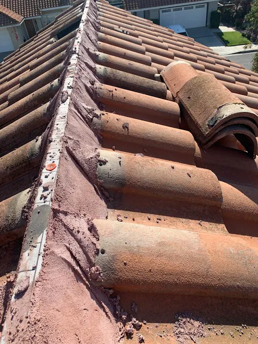 Roofing Innovations Picture 5