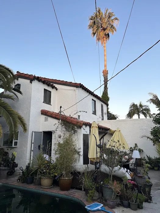 Illan Custom Painting Stucco & Paint Contractor Picture 10