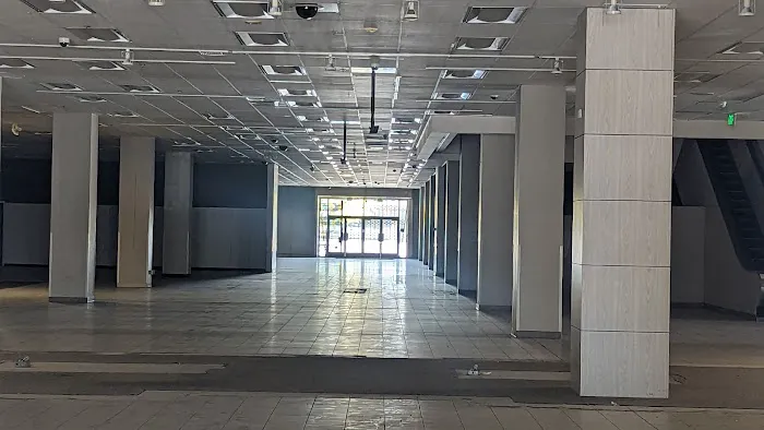 Sears Window Replacement Picture 9