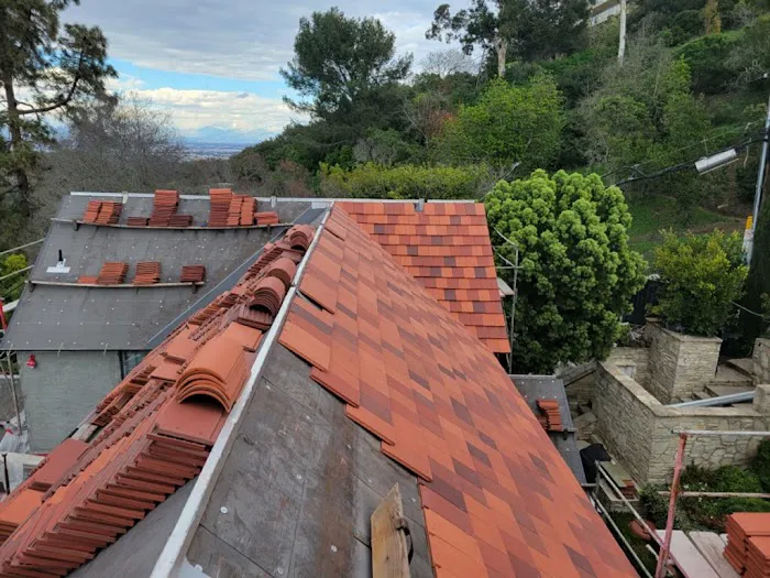 The Roof Doctor Picture 6