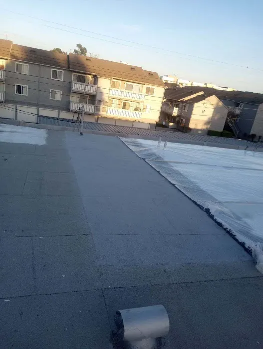 Suni Roofing INC Picture 6