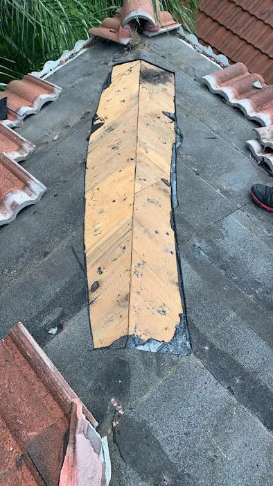 Northamerican Roof Repair - Temple City Picture 2