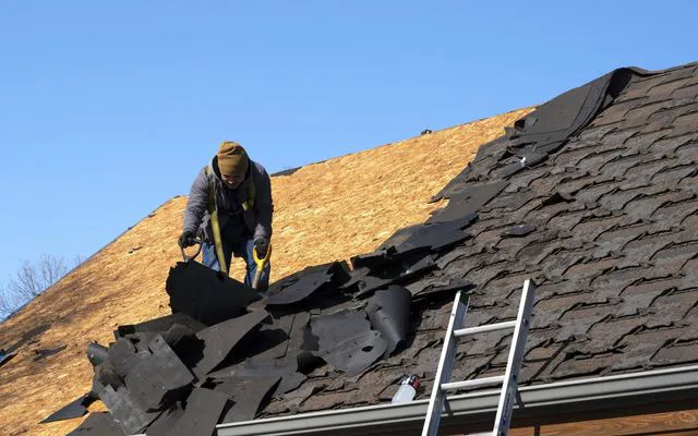 Omega Roofing Picture 2