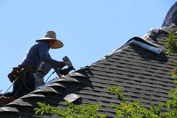 Omega Roofing Picture 6