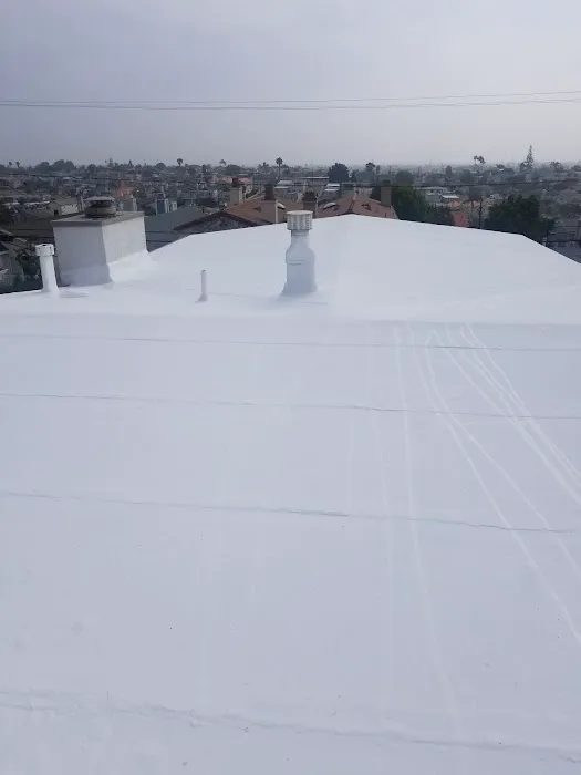 Economy roofing Picture 10