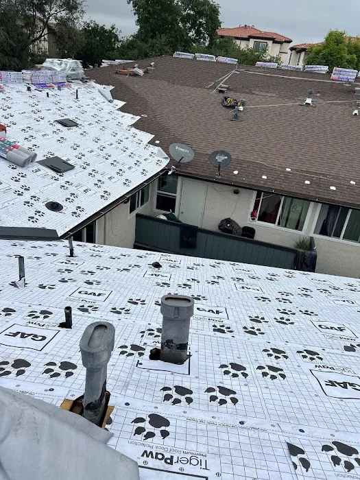 Roof Service Providers Picture 4
