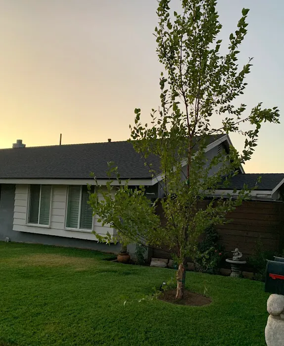 Alpha & Omega Roofing Picture 5