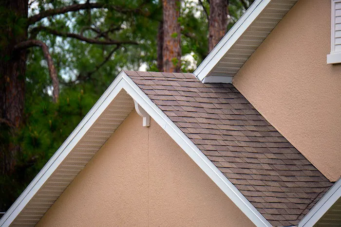 Champion Roofs Picture 5