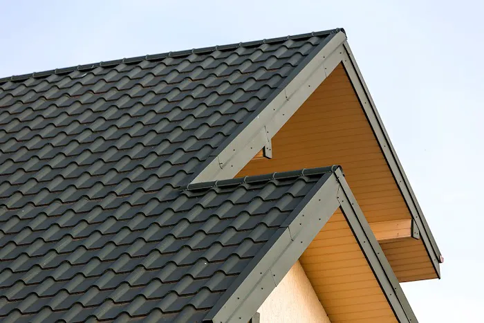 Champion Roofs Picture 4