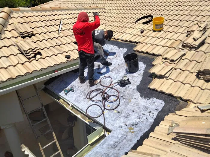 Reliant Roof Experts Picture 3
