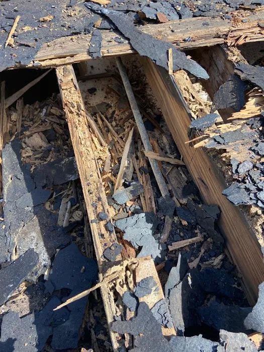 Reliant Roof Experts Picture 5