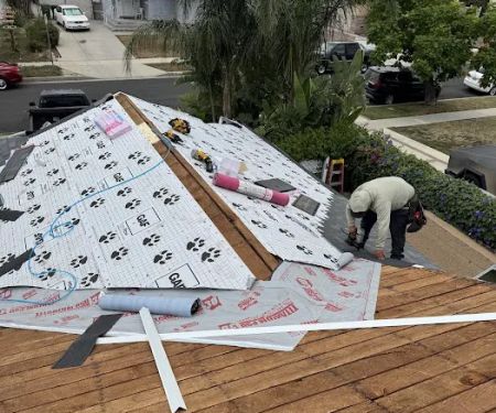 Dena Roofing Pros Inc