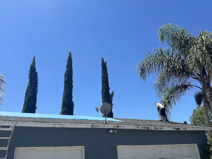 Dena Roofing Pros Inc Picture 6