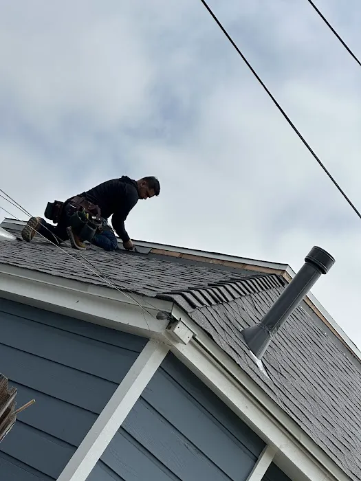 Dena Roofing Pros Inc Picture 5
