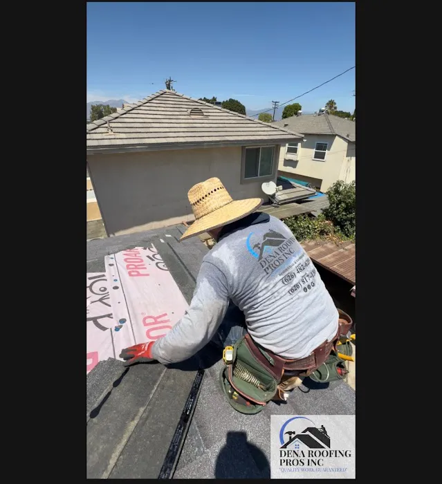 Dena Roofing Pros Inc Picture 10
