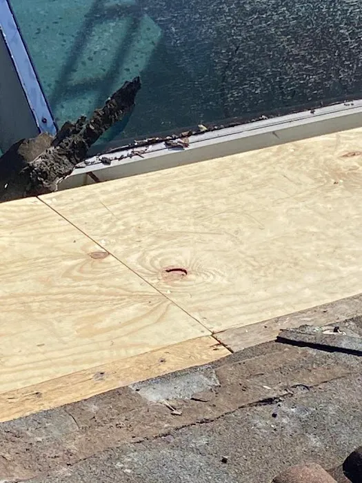 Magical Roofers Picture 2