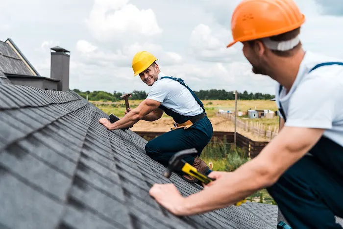 BNF Roofing Picture 1