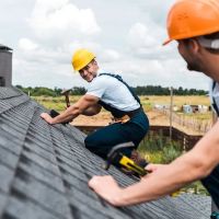 BNF Roofing ico