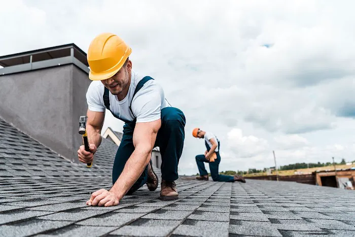 BNF Roofing Picture 9
