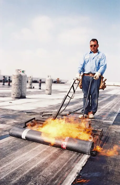 Bligh Pacific - Roof Company Picture 1