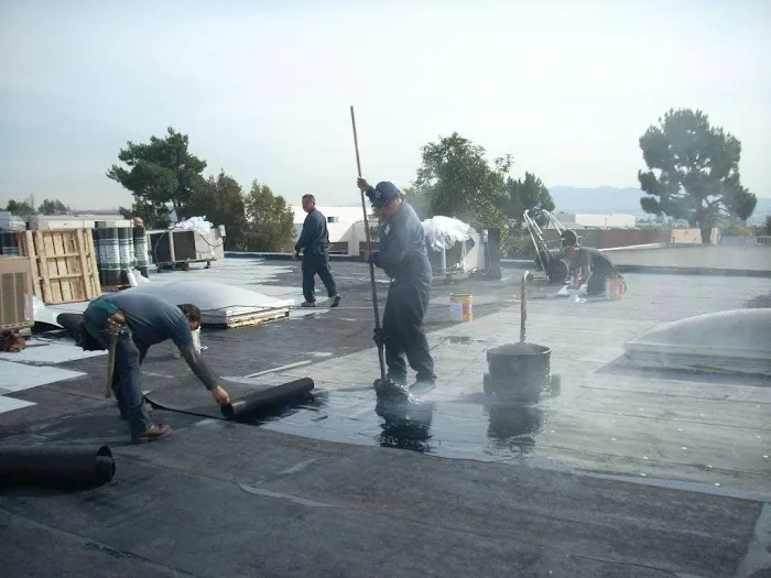 Royal Roof Co Picture 5