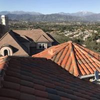 Born 2 Roof ico