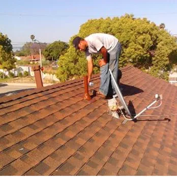 Born 2 Roof Picture 3