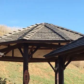 Born 2 Roof Picture 4