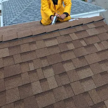 Born 2 Roof Picture 6