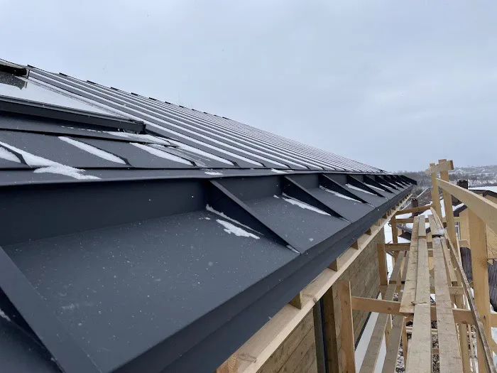 Terra Roofing Squad Picture 1