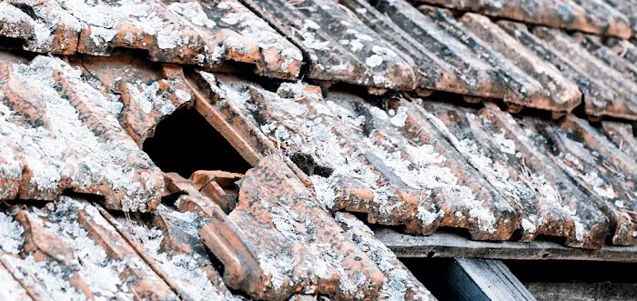 Terra Roofing Squad Picture 10