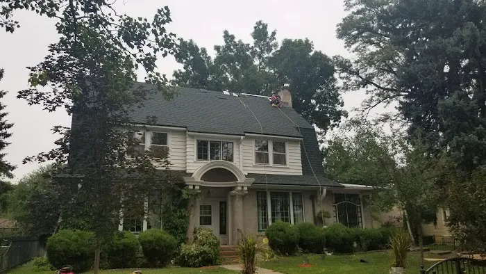 Mighty Roofing Picture 4
