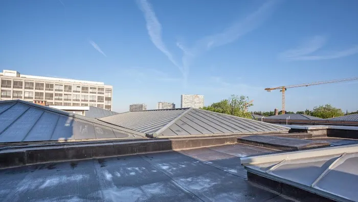 Terra Roofing Squad Picture 5