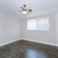 Madrids painting ico