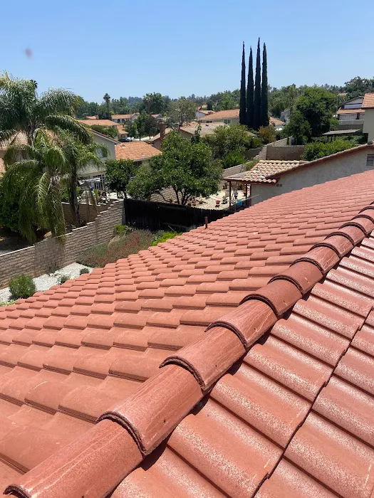 Green Ladder Roofing and Waterproofing Picture 4