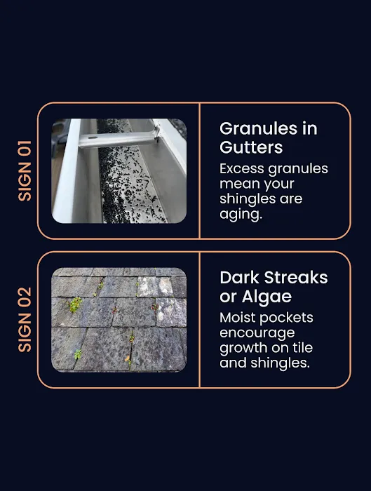 Green Ladder Roofing and Waterproofing Picture 5