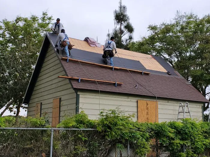 Pin Roofing Picture 4