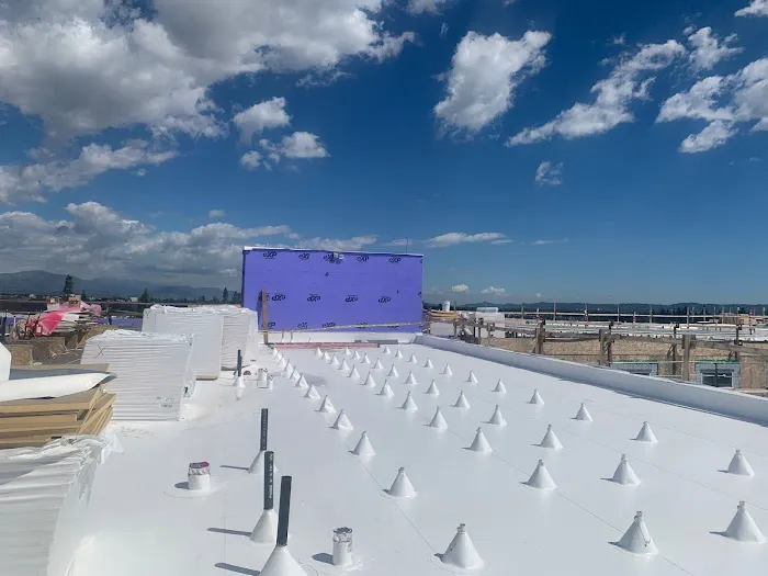 LA Roof Systems Corporation Picture 3
