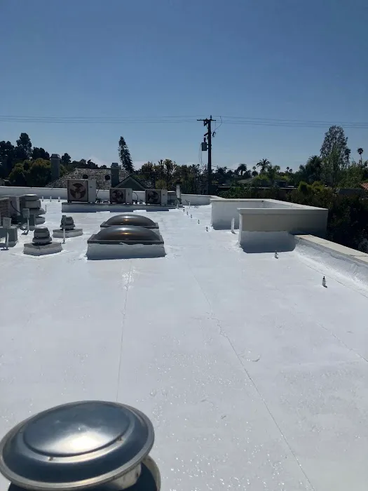 Sho Global Roofing Picture 4
