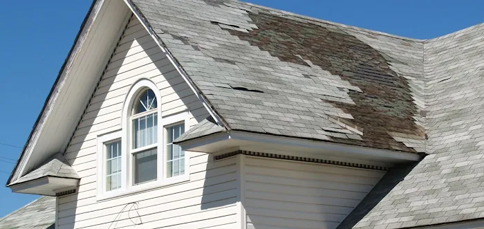 Eave Guard Roofing Experts Picture 10